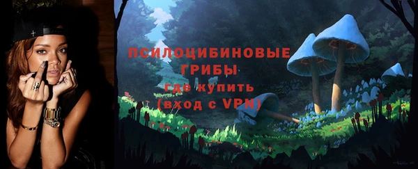круглые Алексеевка