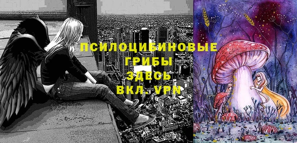 винт Алзамай