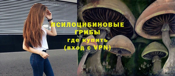 круглые Алексеевка