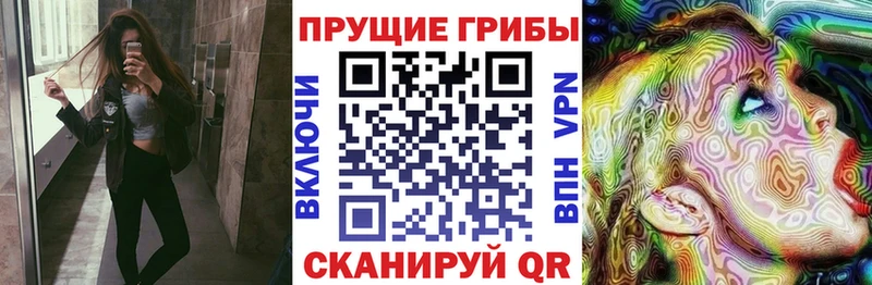 Псилоцибиновые грибы Psilocybine cubensis Сунжа