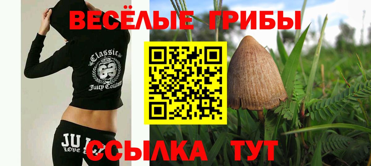 Псилоцибиновые грибы GOLDEN TEACHER Сунжа