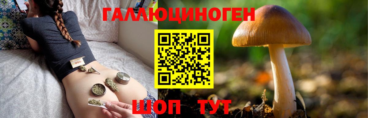 наркотики  Галлюциногенные грибы Cubensis  Псилоцибиновые грибы Psilocybe  Вход с VPN  Сунжа 